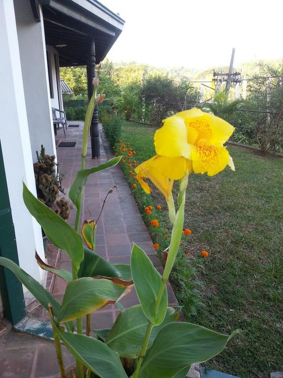 Kandy Holiday Home Kültér fotó