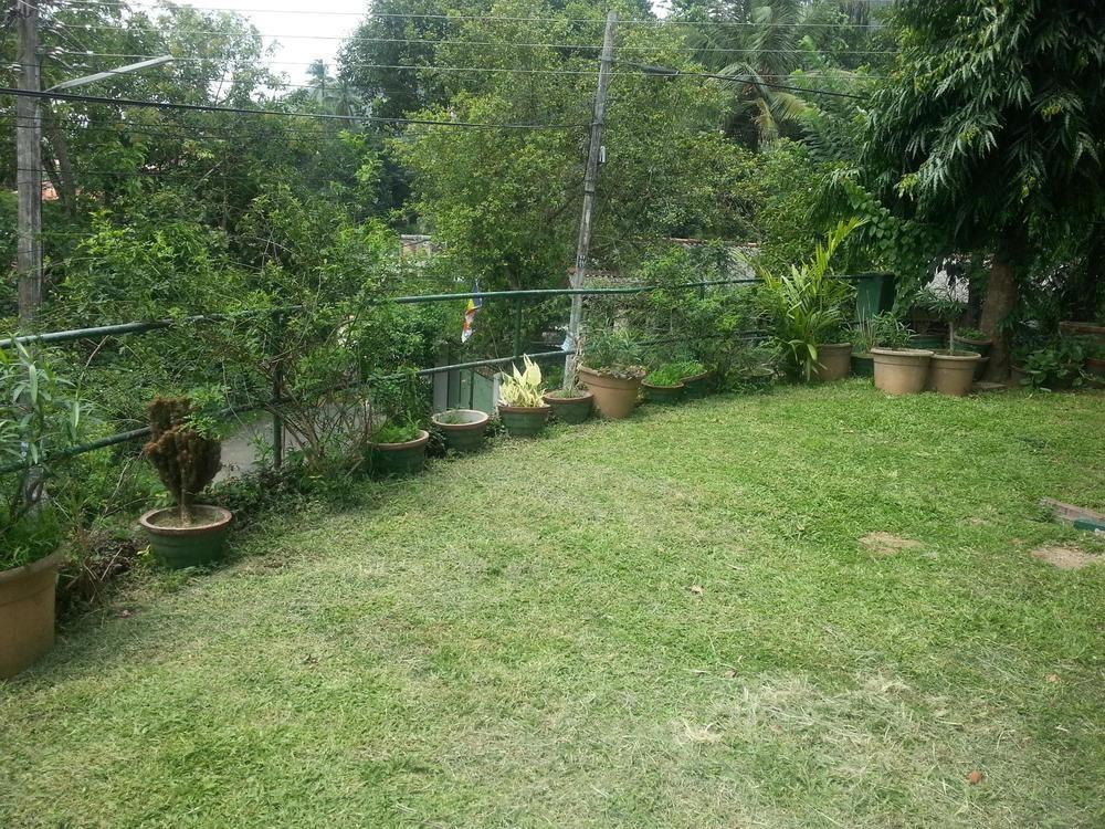 Kandy Holiday Home Kültér fotó